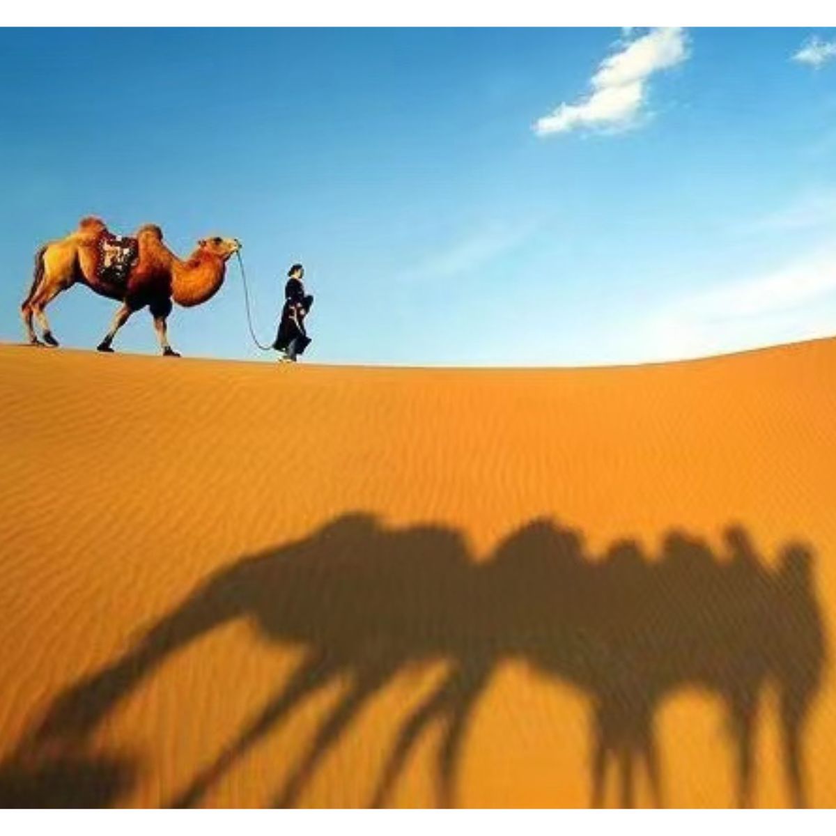 A historical painting depicting a caravan on the Silk Road