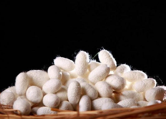 Uses Of Silk In Food, Chemical Engineering & Biomedicine Industry