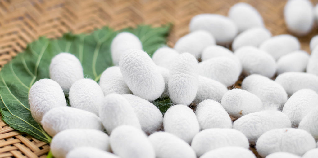 The Difference Between Mulberry Silk and Other Silks