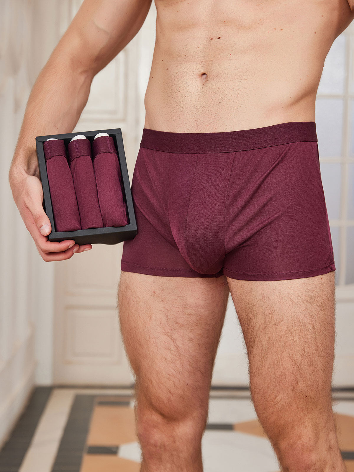 3Pcs Mens Mulberry Silk Knitted Boxer Briefs Underwear - Wine / XS