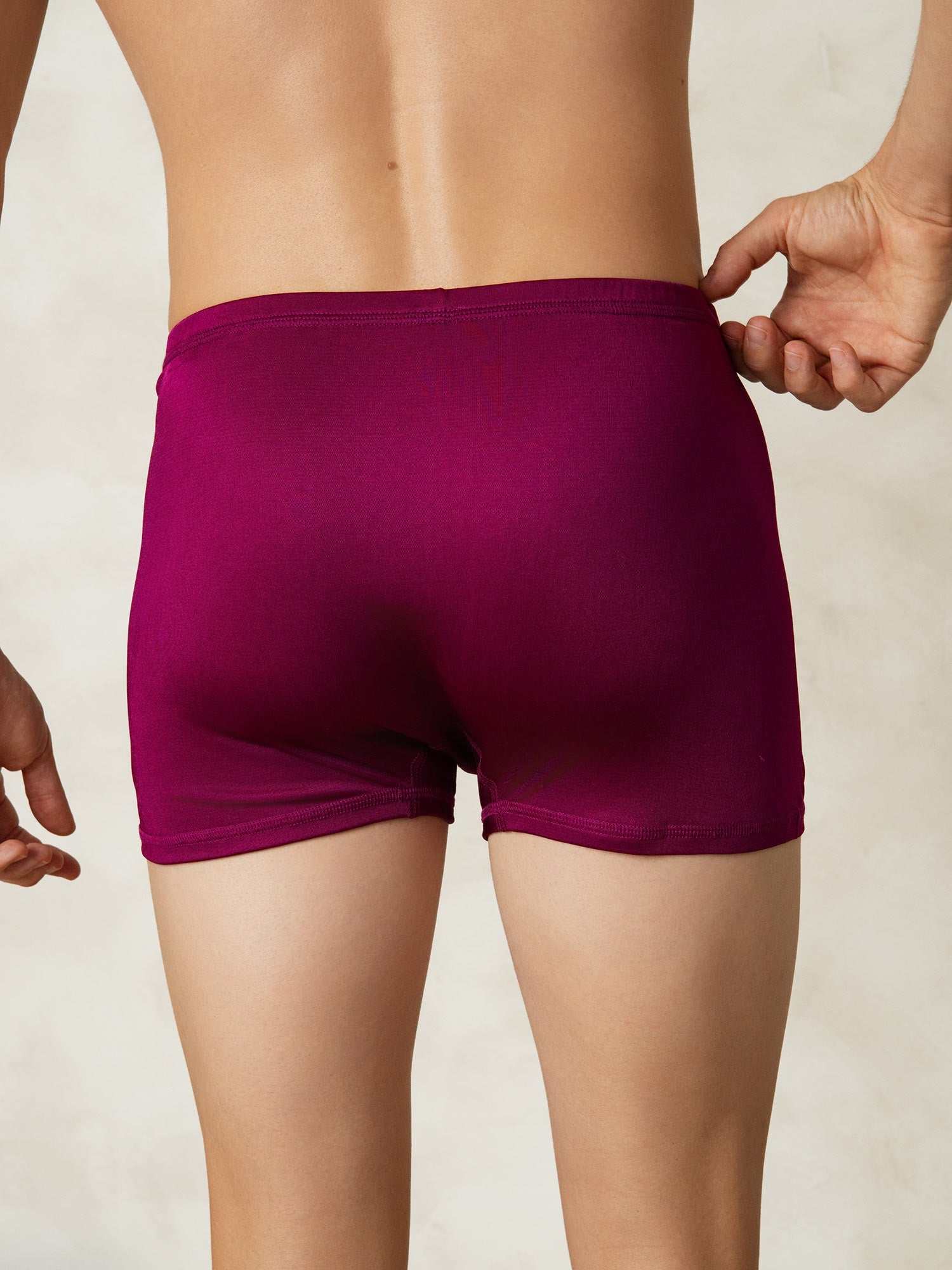 [Wine] SilkSilky  Silk Knitted Mens Underwear 002