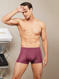 SilkSilky US Silk Knitted Mens Underwear Wine 003