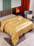 SilkSilky US 25Momme Pure Silk Duvet Cover Champagne 004