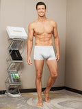 SilkSilky US Silk Knitted Mens Underwear Gray 005