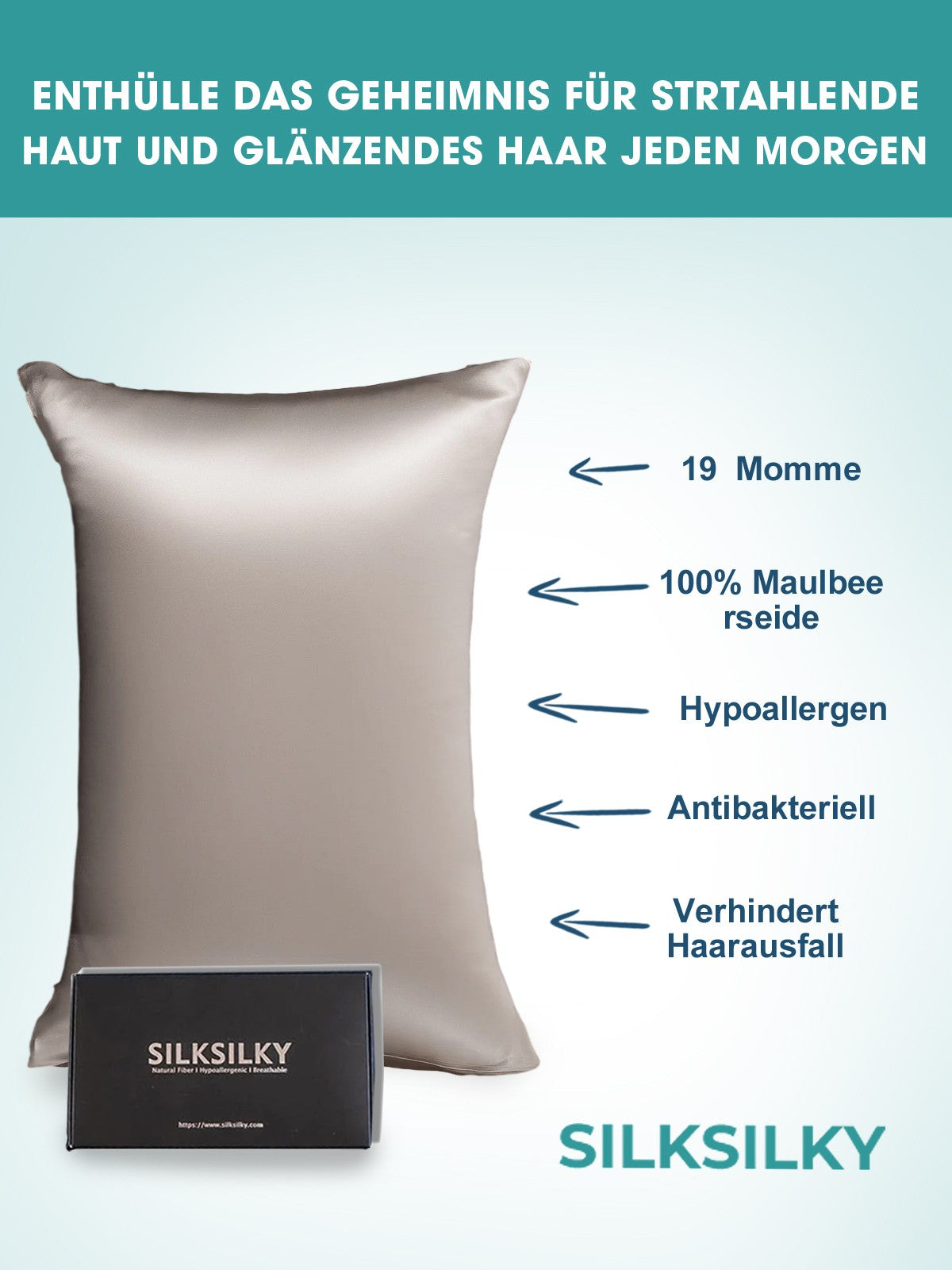 [Gray] SilkSilky  19Momme Pure Silk Pillowcase 002