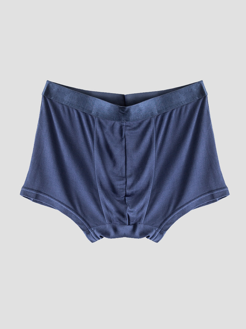 SilkSilky US Silk Knitted Mens Underwear DarkBlue 006