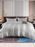 SilkSilky US 22Momme Pure Silk Bedding Set Silver 001