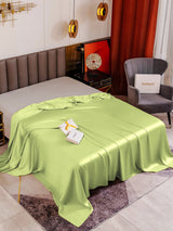 [Mint Green] SilkSilky  19Momme Sheet 001