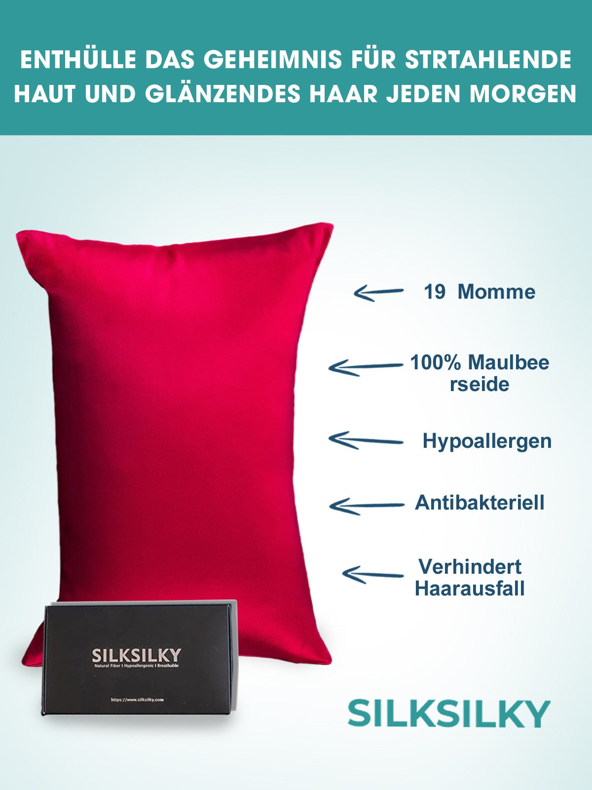 [Wine] SilkSilky  19Momme Pure Silk Pillowcase 002