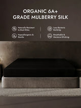 [Black] SilkSilky  25Momme Sheet 001