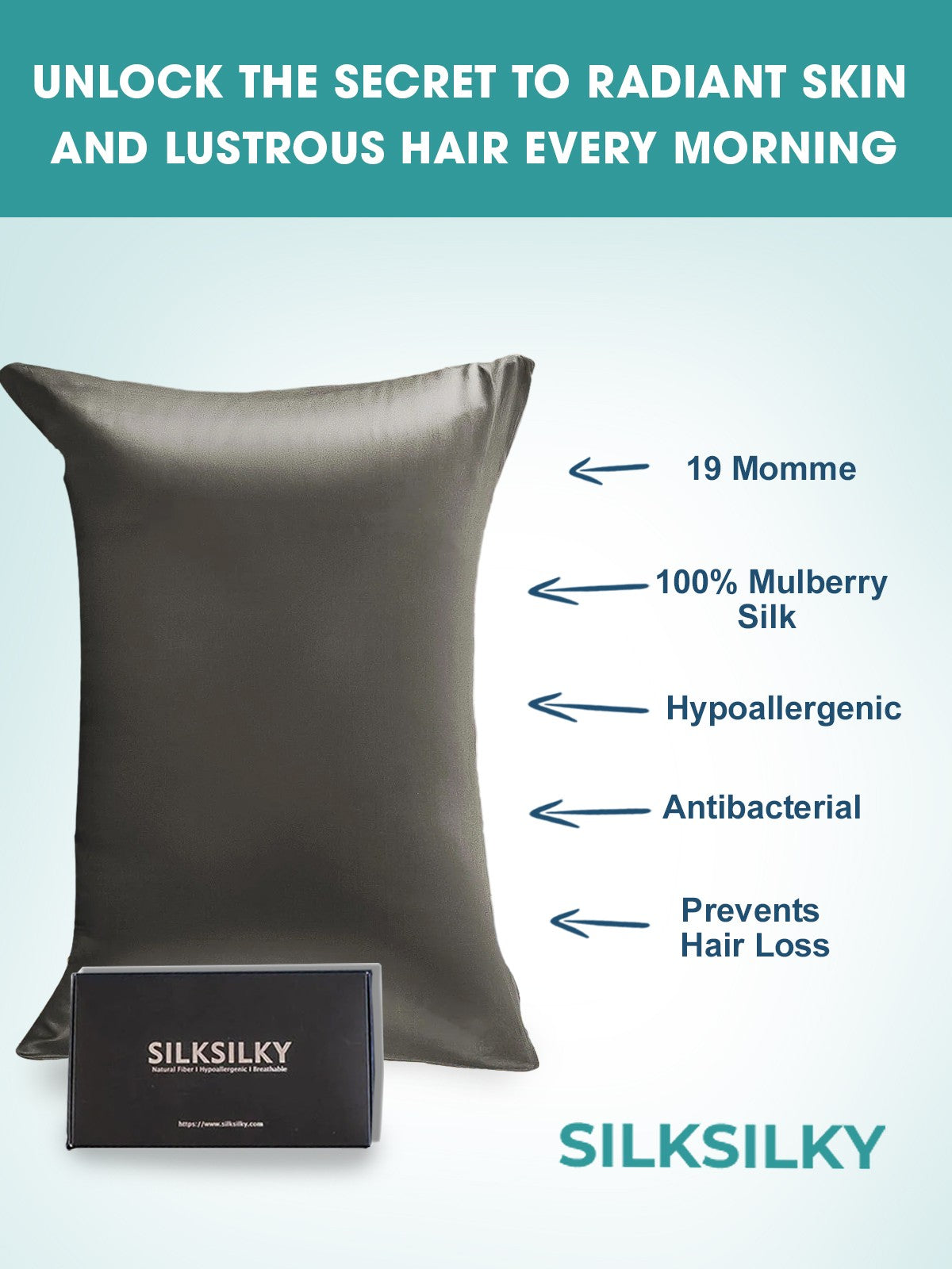 SilkSilky  19Momme Pure Silk Pillowcase DarkGray 003