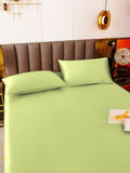 SilkSilky US 19Momme Pure Silk Bedding Set MintGreen 003