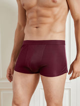 [Wine] SilkSilky  100% Silk Jersey Men's Underwear 003
