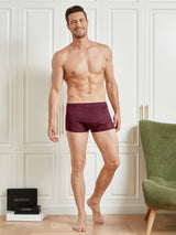 [Wine] SilkSilky  100% Silk Jersey Men's Underwear 005