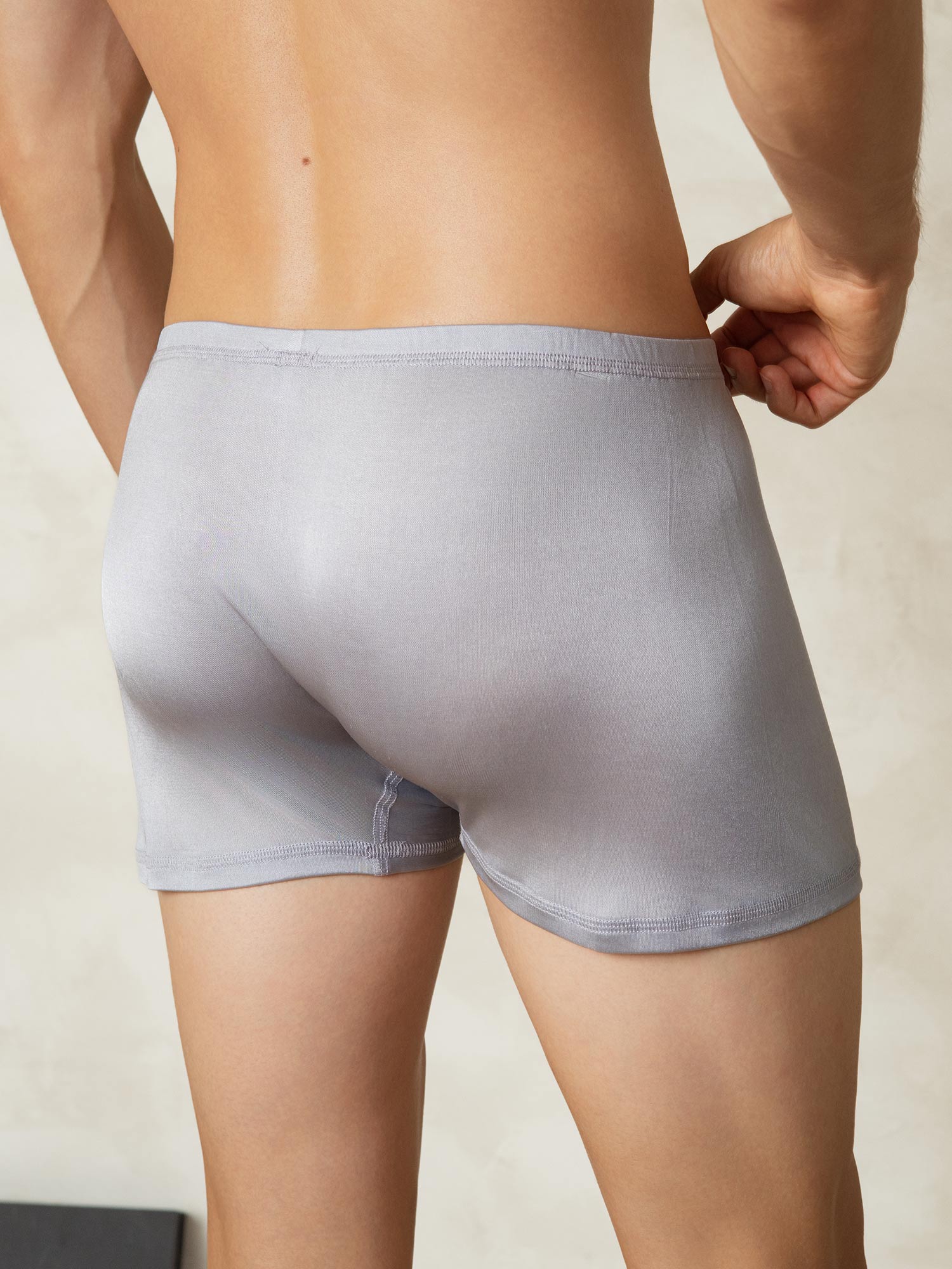 [Gray] SilkSilky  Silk Knitted Mens Underwear 002
