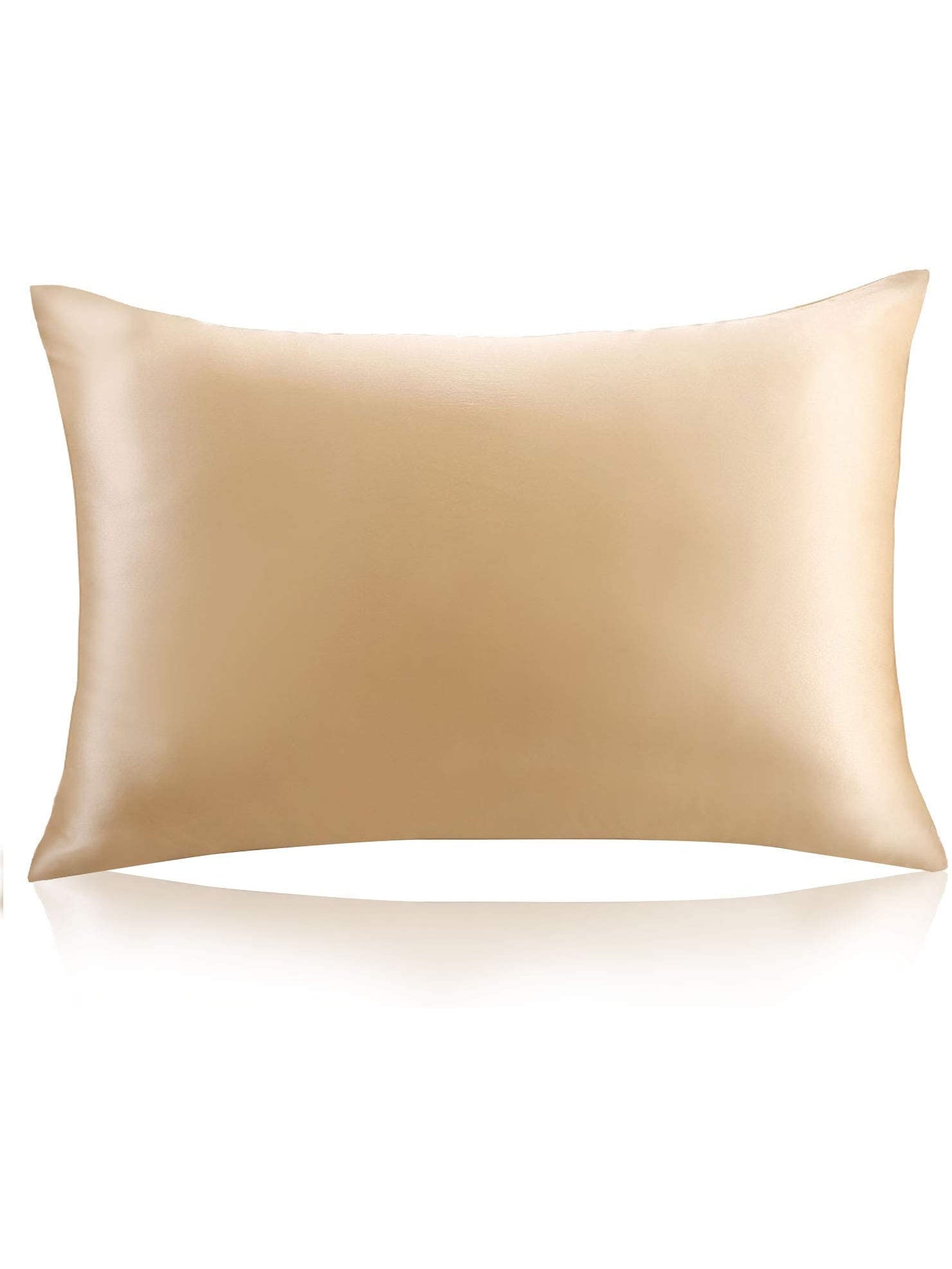 SilkSilky US 22Momme Pure Silk Pillowcase Set Champagne 002