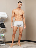 SilkSilky US Silk Knitted Mens Underwear Gray 005