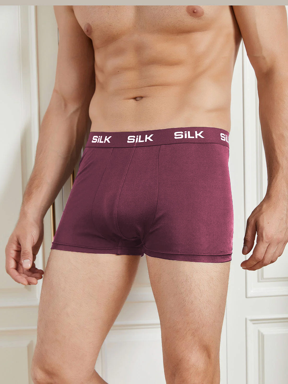 [Wine] SilkSilky  Pure Silk Mens Underwear 001