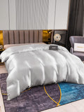 SilkSilky US 22Momme Pure Silk Duvet Cover Silver 003