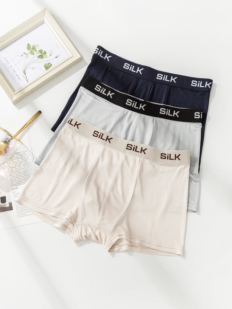 Silksilky Breathable Silk Boxer Brief 3Pcs Mens Brief Underwear – SILKSILKY