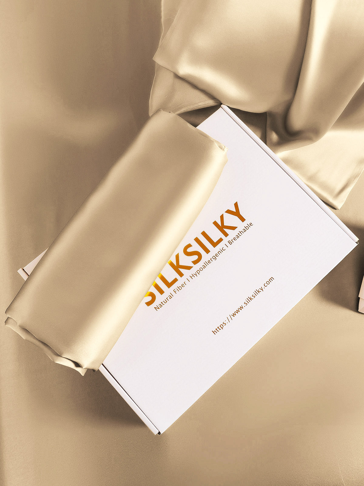[Beige] SilkSilky 22Momme Pure Silk Pillowcase 007