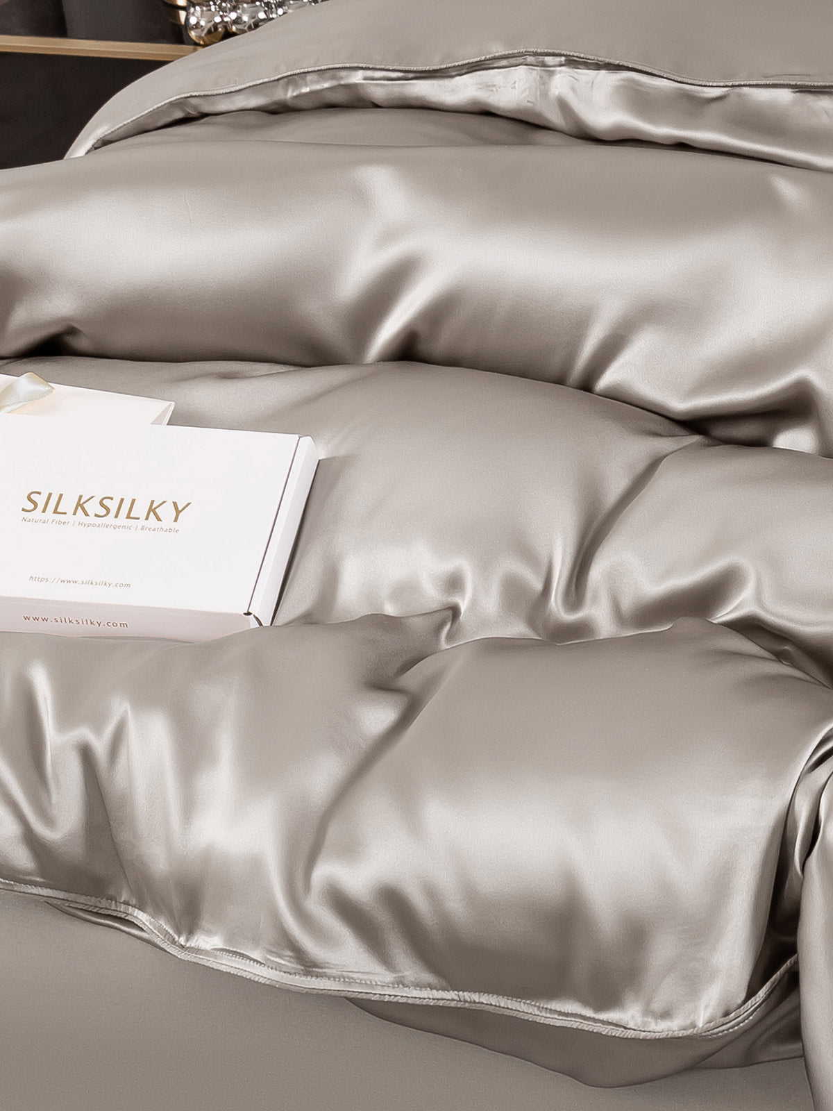 [Gray] SilkSilky 19Momme Pure Silk Bedding Set 006