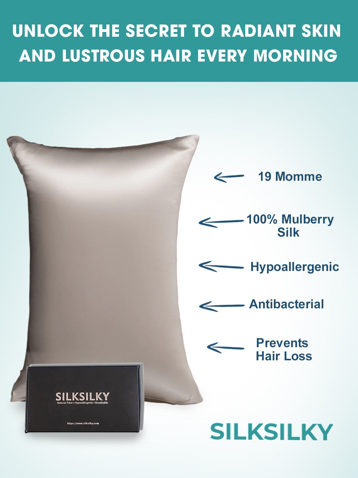 [Gray] SilkSilky 19Momme Pure Silk Pillowcase 002