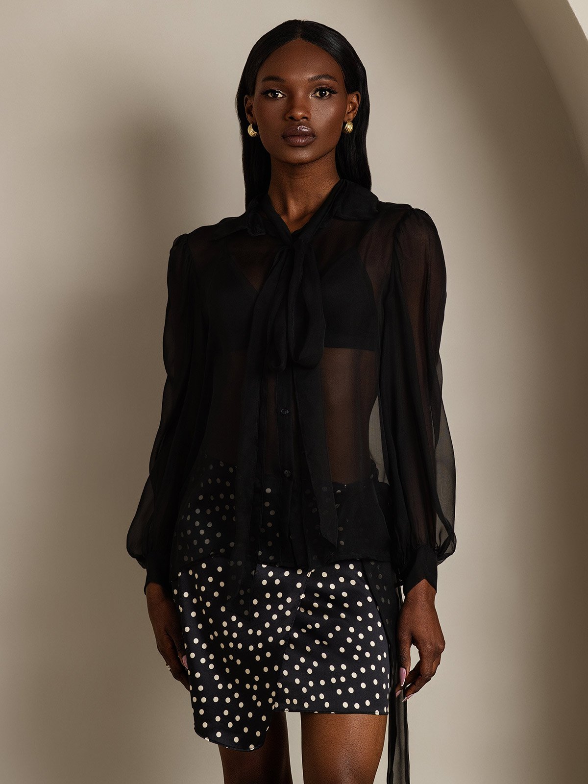 Silk Chiffon Sheer Blouse | Lantern Sleeve Tie Neck – SILKSILKY