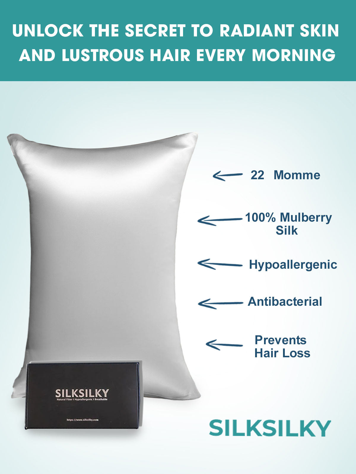 [Silver] SilkSilky 22Momme Pure Silk Pillowcase 002