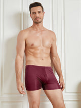 [Wine] SilkSilky  100% Silk Jersey Men's Underwear 003