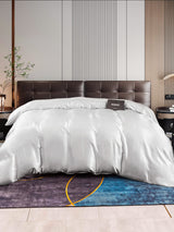 [Silver] SilkSilky  22Momme Duvet Covers 001