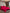 [Wine] SilkSilky  19Momme Pure Silk Bedding Set 001