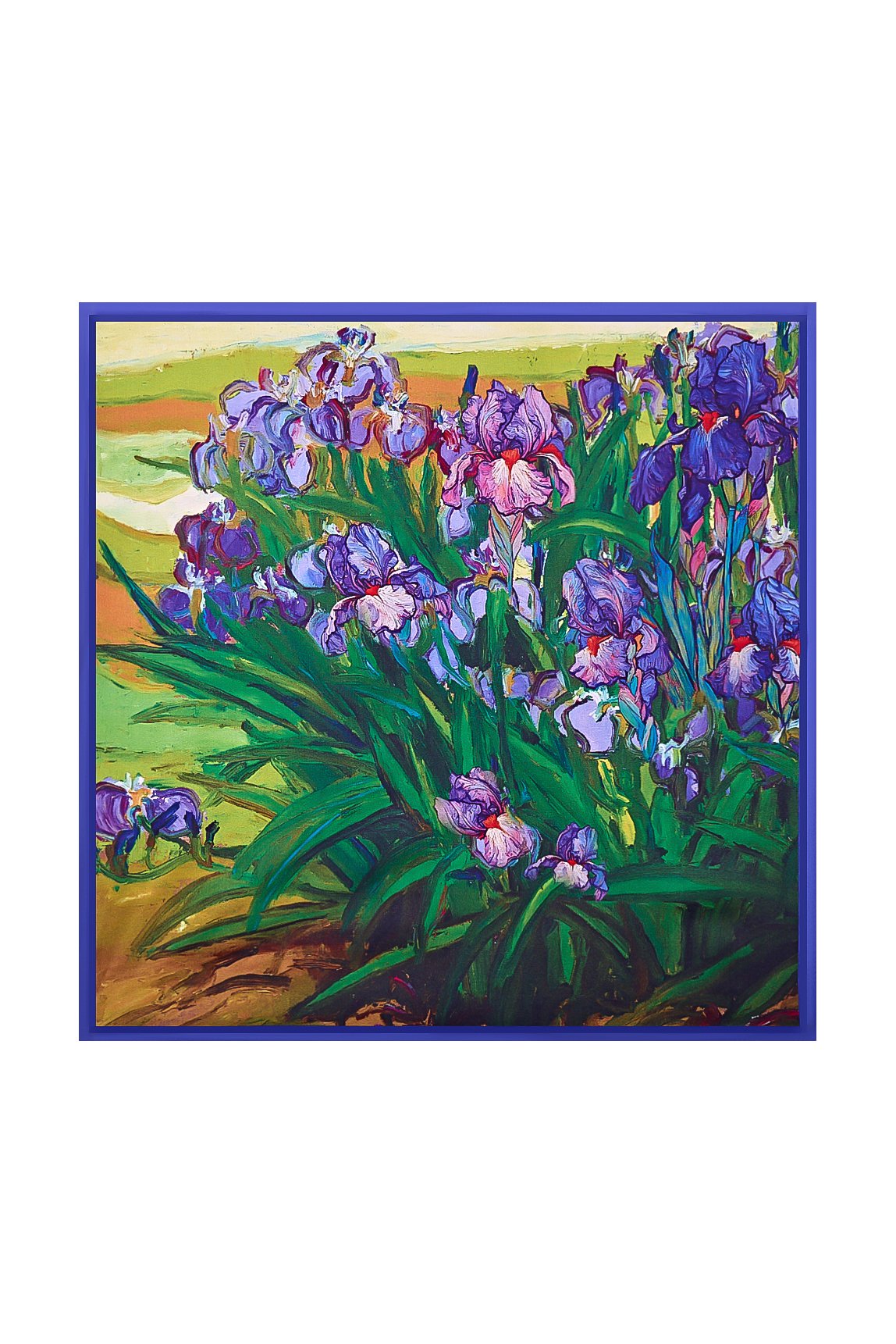 [Multi] SilkSilky Pure Silk Scarf 004
