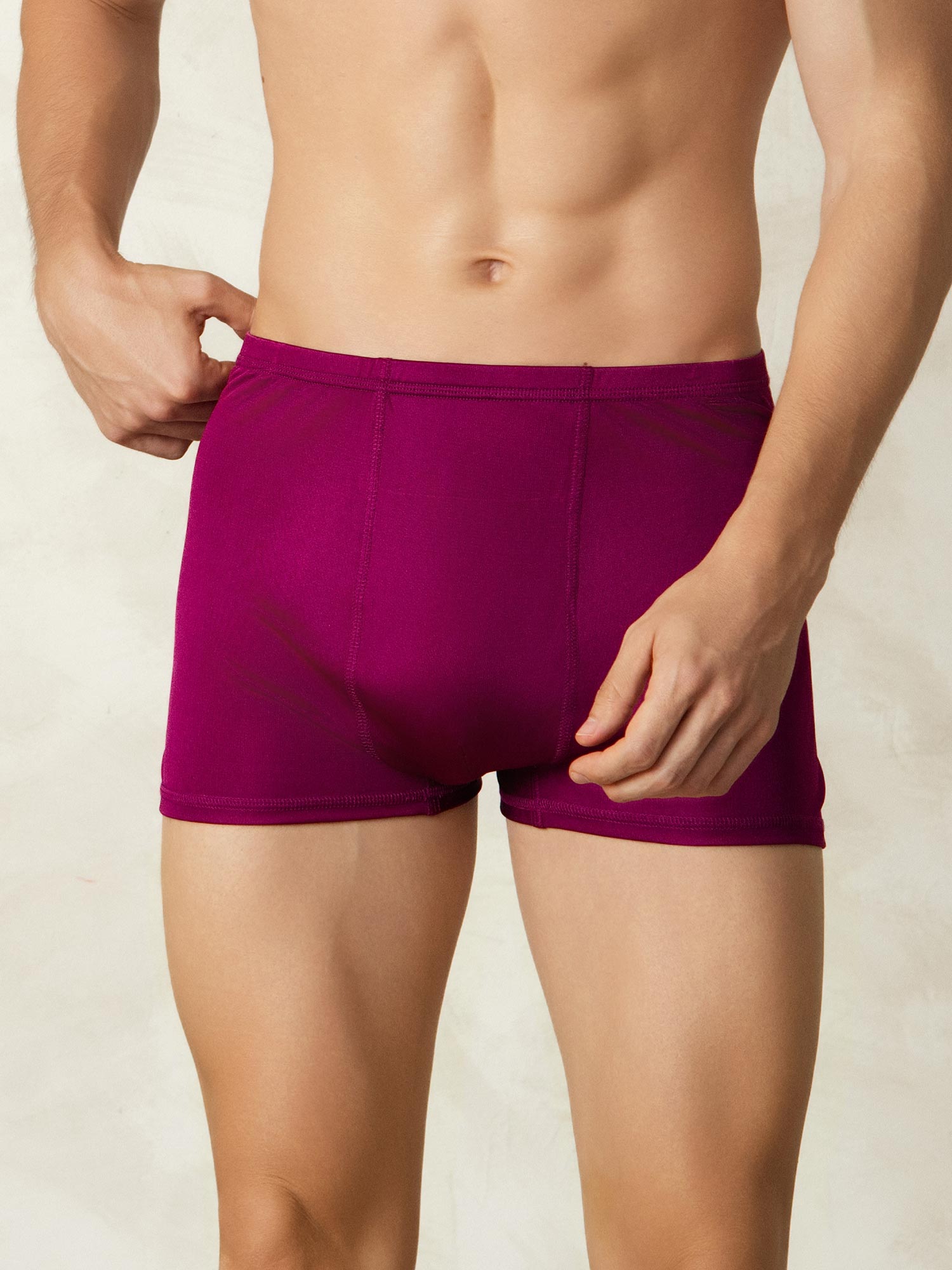 [Wine] SilkSilky  Silk Knitted Mens Underwear 003