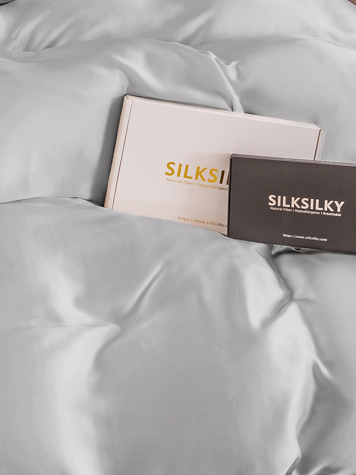 SilkSilky US 19Momme Pure Silk Duvet Cover Silver 004