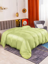 [Mint Green] SilkSilky  19Momme Duvet Covers 001