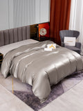 SilkSilky US 22Momme Pure Silk Duvet Cover Gray 002