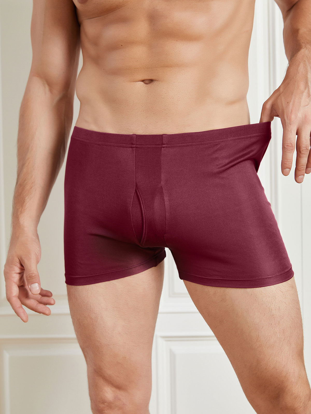 SilkSilky US Silk Knitted Mens Underwear Wine 004