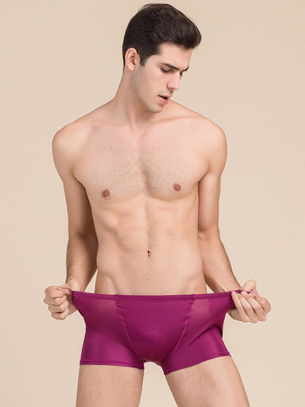 SilkSilky US Silk Knitted Mens Underwear Wine 003